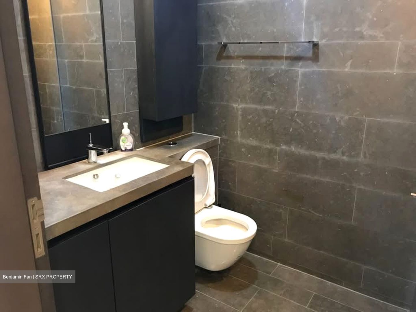 Skysuites@Anson (D2), Apartment #582310601